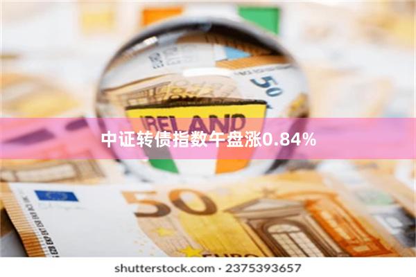 中证转债指数午盘涨0.84%