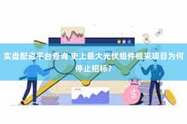实盘配资平台查询 史上最大光伏组件框采项目为何停止招标？