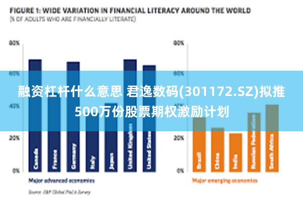 融资杠杆什么意思 君逸数码(301172.SZ)拟推500万份股票期权激励计划