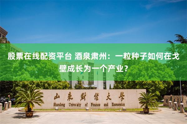 股票在线配资平台 酒泉肃州：一粒种子如何在戈壁成长为一个产业？