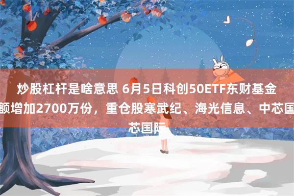 炒股杠杆是啥意思 6月5日科创50ETF东财基金份额增加2700万份，重仓股寒武纪、海光信息、中芯国际