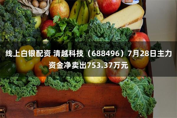 线上白银配资 清越科技（688496）7月28日主力资金净卖出753.37万元