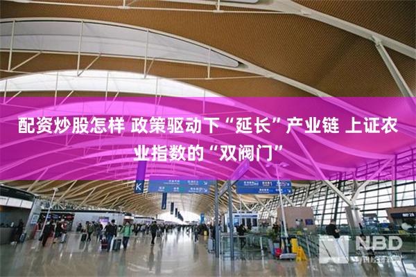 配资炒股怎样 政策驱动下“延长”产业链 上证农业指数的“双阀门”