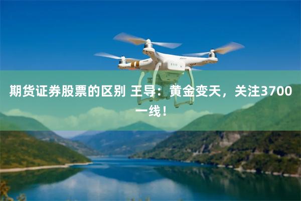 期货证券股票的区别 王导：黄金变天，关注3700一线！