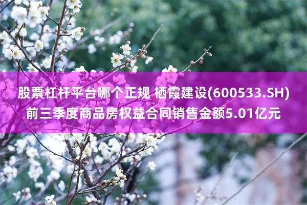 股票杠杆平台哪个正规 栖霞建设(600533.SH)前三季度商品房权益合同销售金额5.01亿元