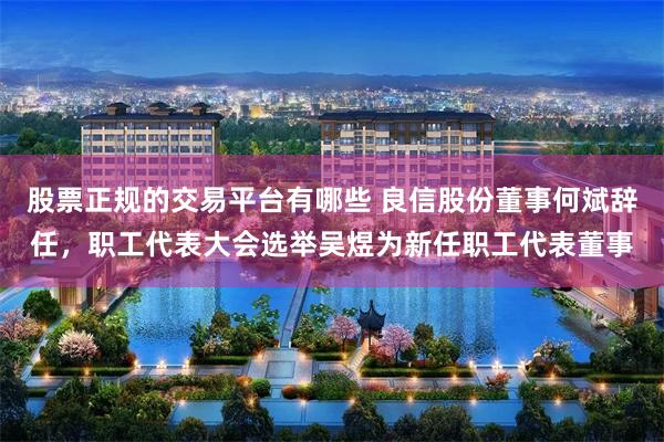 股票正规的交易平台有哪些 良信股份董事何斌辞任，职工代表大会选举吴煜为新任职工代表董事