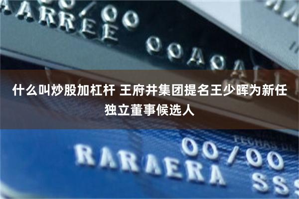 什么叫炒股加杠杆 王府井集团提名王少晖为新任独立董事候选人