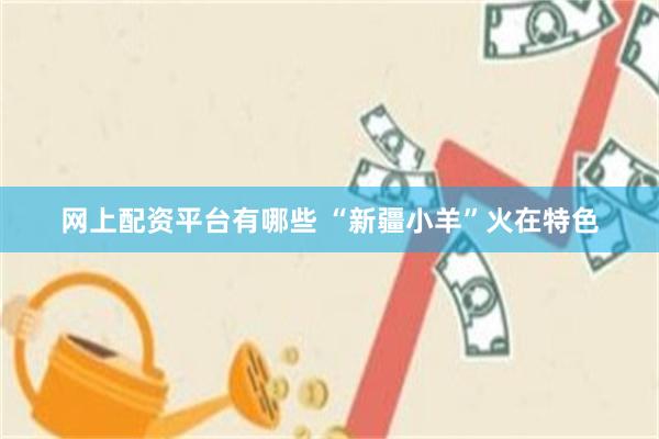 网上配资平台有哪些 “新疆小羊”火在特色