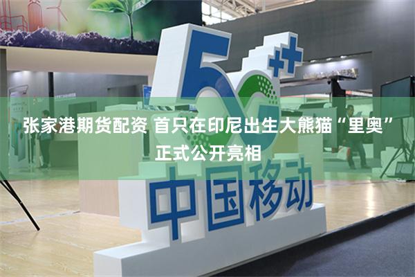 张家港期货配资 首只在印尼出生大熊猫“里奥”正式公开亮相