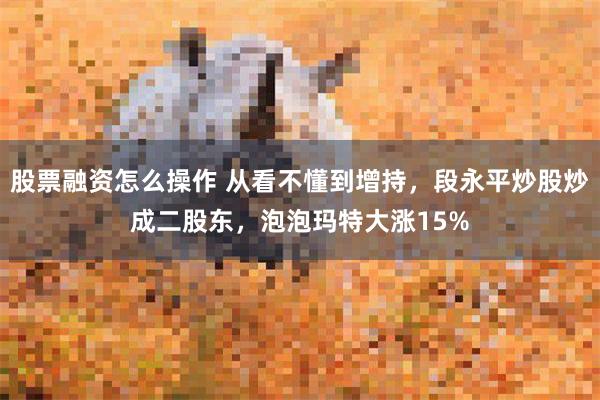 股票融资怎么操作 从看不懂到增持，段永平炒股炒成二股东，泡泡玛特大涨15%